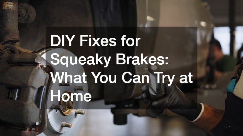 checking the car's braking system